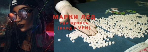 гидра Богородицк