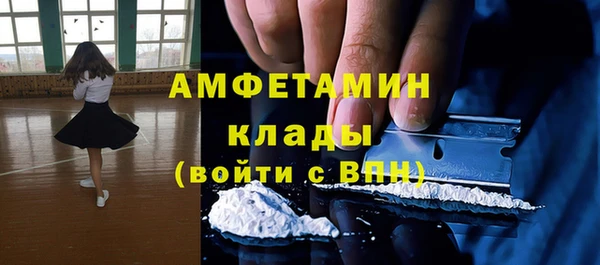 гидра Богородицк