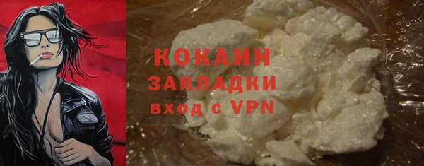 гидра Богородицк
