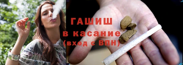 гидра Богородицк