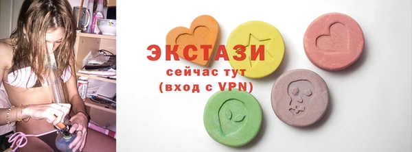 гидра Богородицк