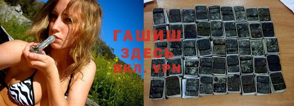 гидра Богородицк