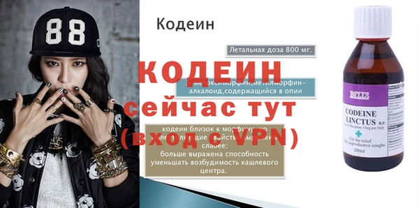 гидра Богородицк