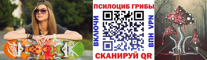 Купить закладки Кохма Галлюциногенные грибы Cubensis
