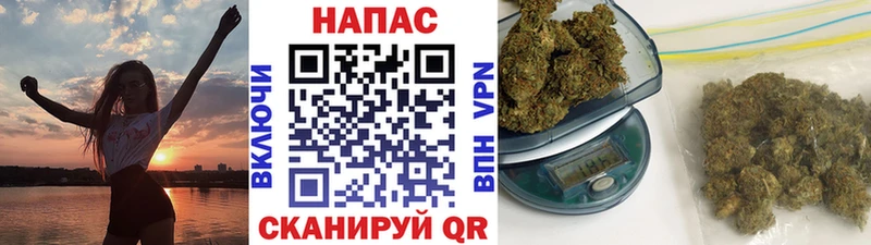 Шишки марихуана OG Kush  Купить  Кохма 